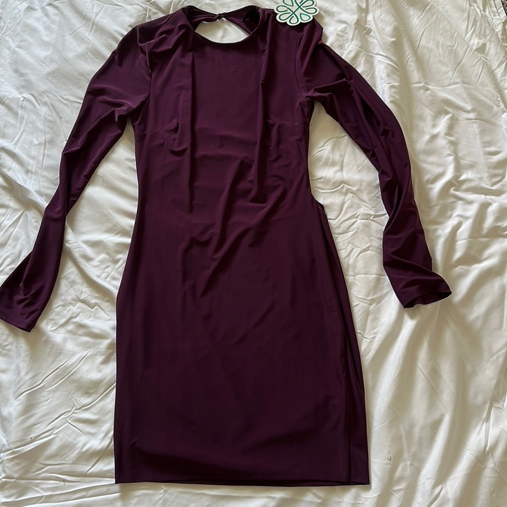 Purple Dress